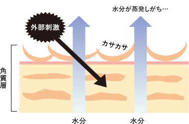 肌図