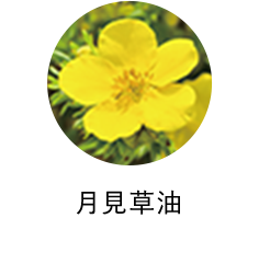 月見草油